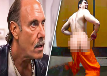 Woman Gets Put to SLEEP After Sla:pping Seth Gold | Hardcore Pawn