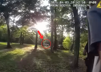 Officers Stumble Upon a Terrifying Discovery in the Backyard