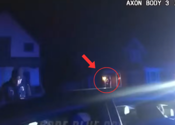 Police Exposed a Terrifying Truth… and the Internet Exploded