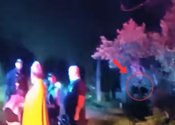 Cops Enter a House of Horrors—What They Found Will Haunt You