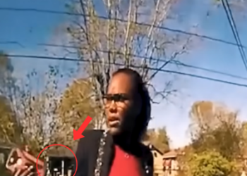 Cops Went to Check the Backyard—They Didn’t Expect to Freeze in Shock