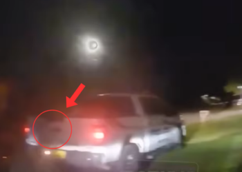 The Chilling Moments Children Revealed Their Parents’ Darkest Secrets