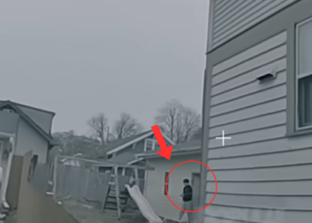 When Smart Kids Outsmart Their Evil Parents—and Help Police Catch Them