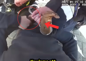 A Routine Welfare Check—And the Horrifying Discovery No One Expected