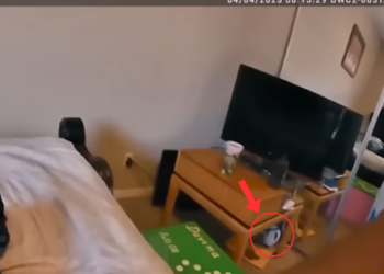 Inside This House Was Something No Officer Expected