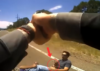 They Never Saw It Coming: Ordinary People Who Became Lifesavers for Police Officers