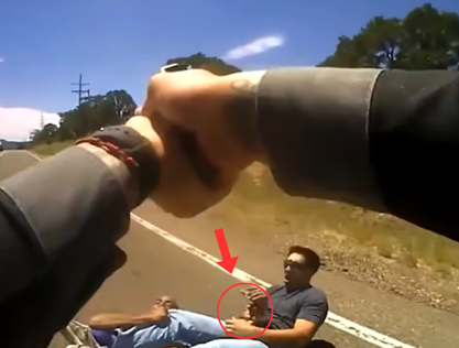 They Never Saw It Coming: Ordinary People Who Became Lifesavers for Police Officers